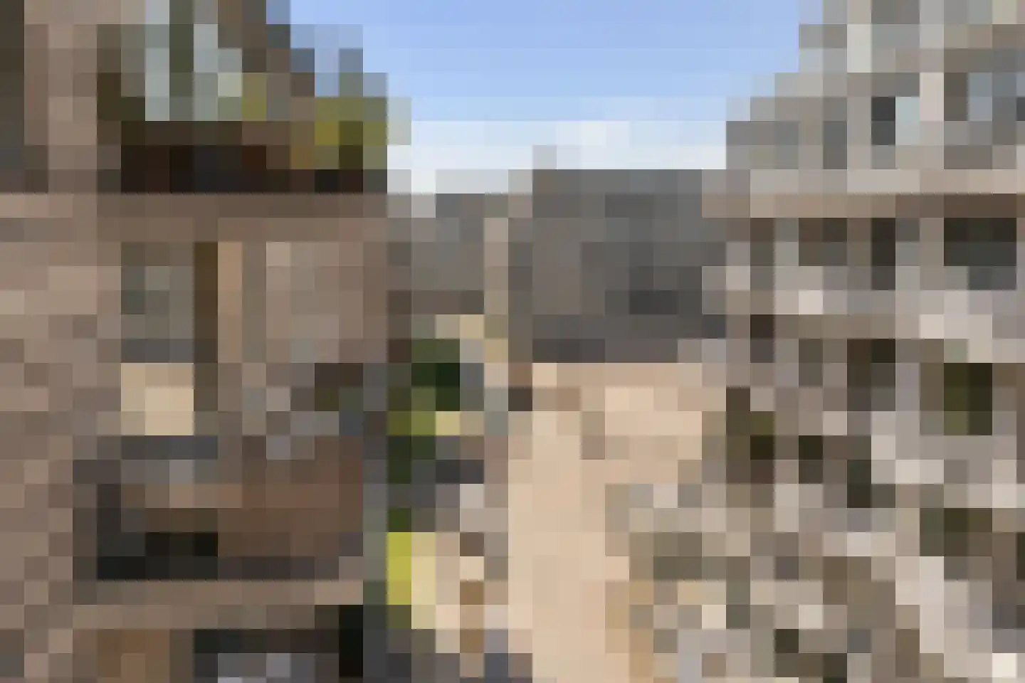 Spadinalaan 667 Amsterdam thumbnail 31