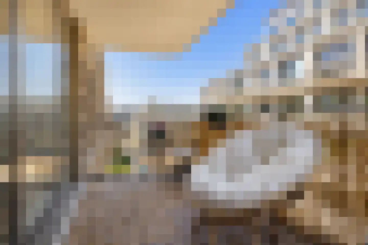 Spadinalaan 667 Amsterdam thumbnail 32