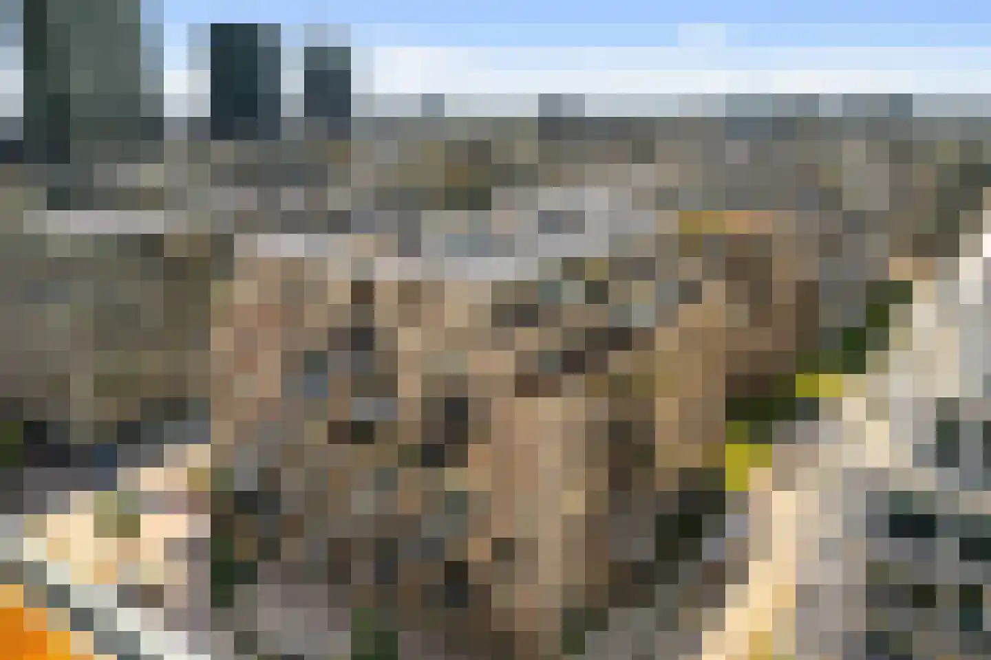Spadinalaan 667 Amsterdam thumbnail 34