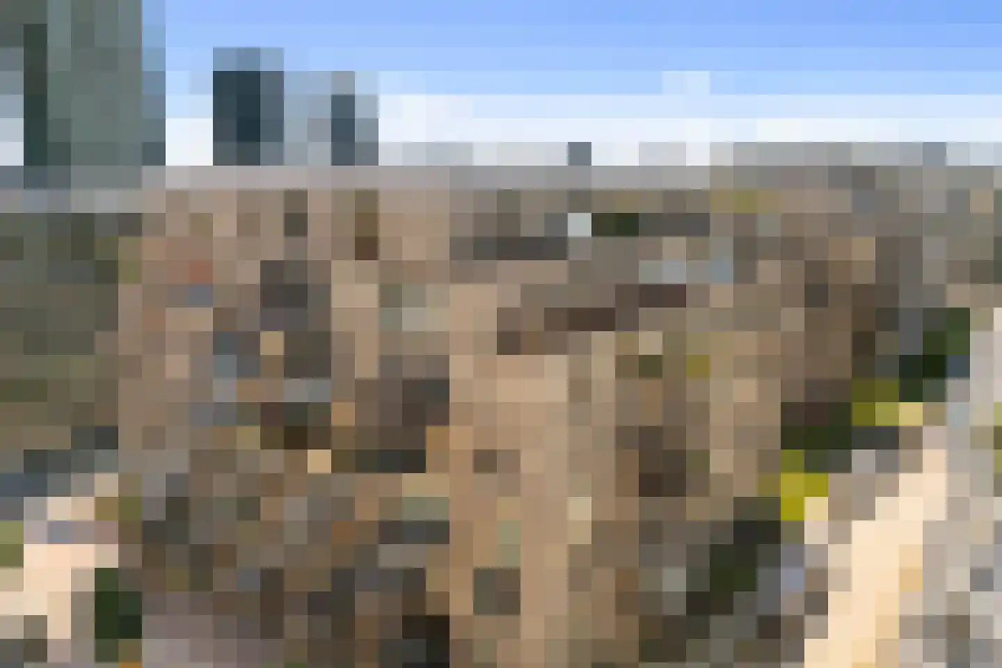 Spadinalaan 667 Amsterdam thumbnail 35