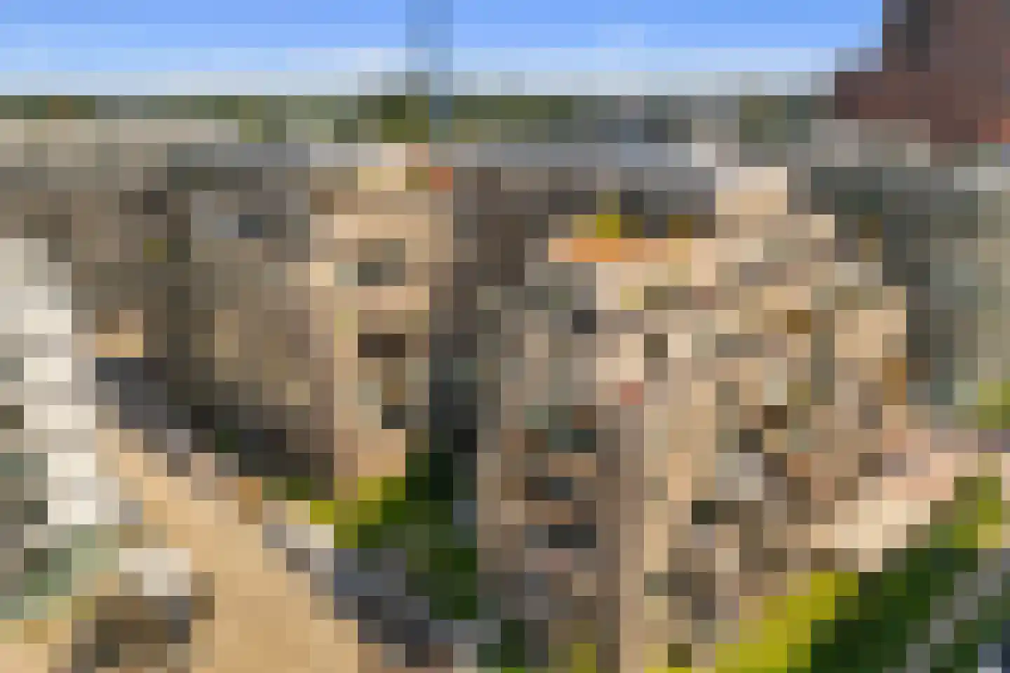 Spadinalaan 667 Amsterdam thumbnail 37