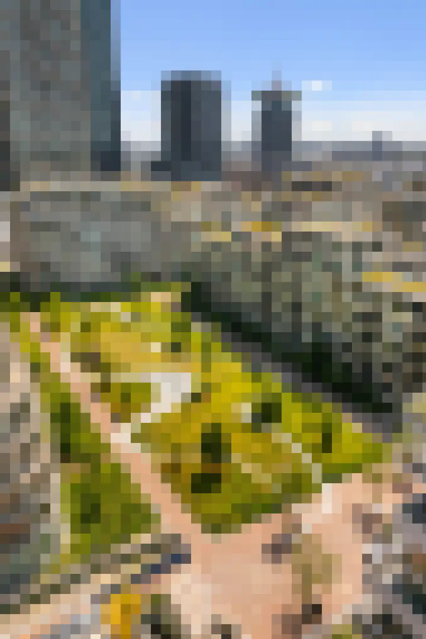 Spadinalaan 667 Amsterdam thumbnail 38