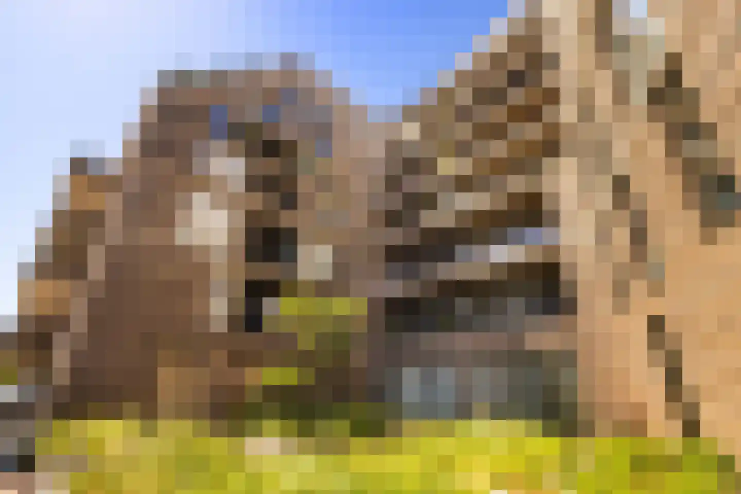 Spadinalaan 667 Amsterdam thumbnail 4