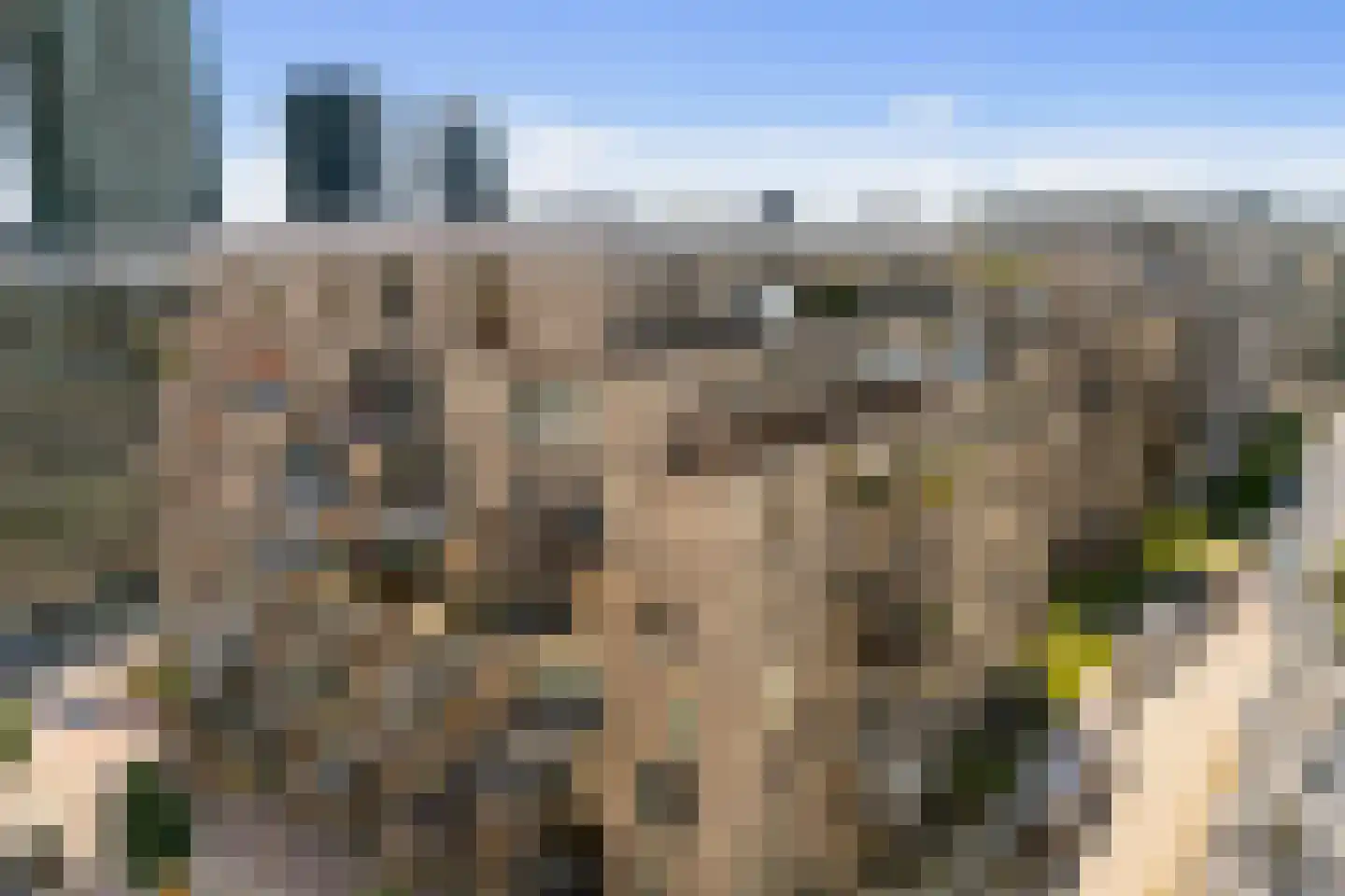 Spadinalaan 667 Amsterdam thumbnail 41