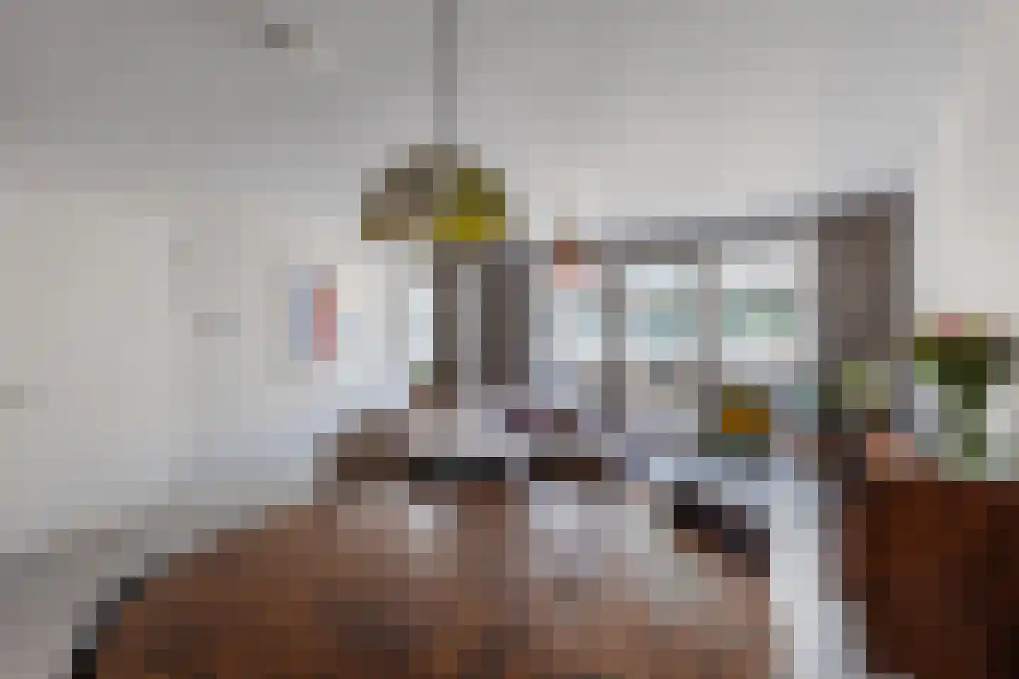 Spadinalaan 667 Amsterdam thumbnail 5