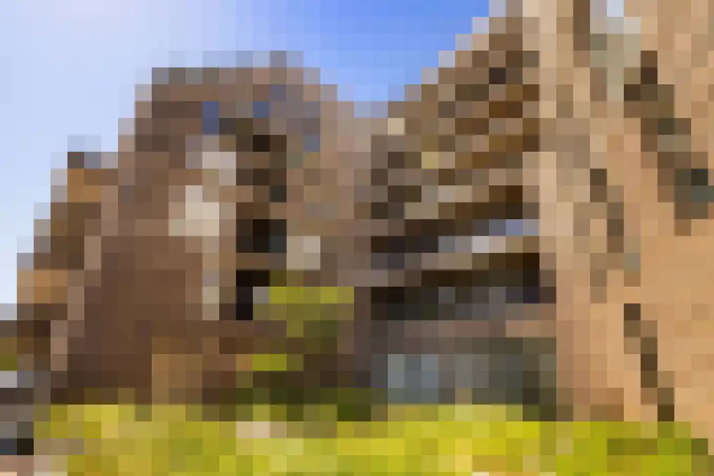 Spadinalaan 667 Amsterdam thumbnail 6