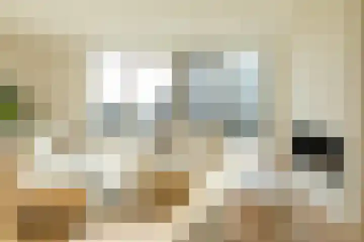 Spadinalaan 699 Amsterdam thumbnail 10