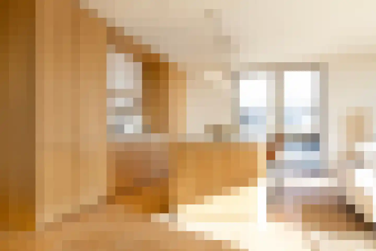 Spadinalaan 699 Amsterdam thumbnail 12