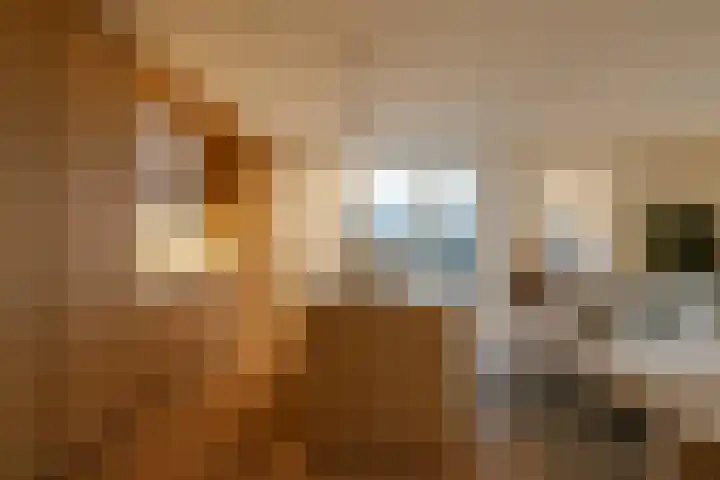 Spadinalaan 699 Amsterdam thumbnail 13