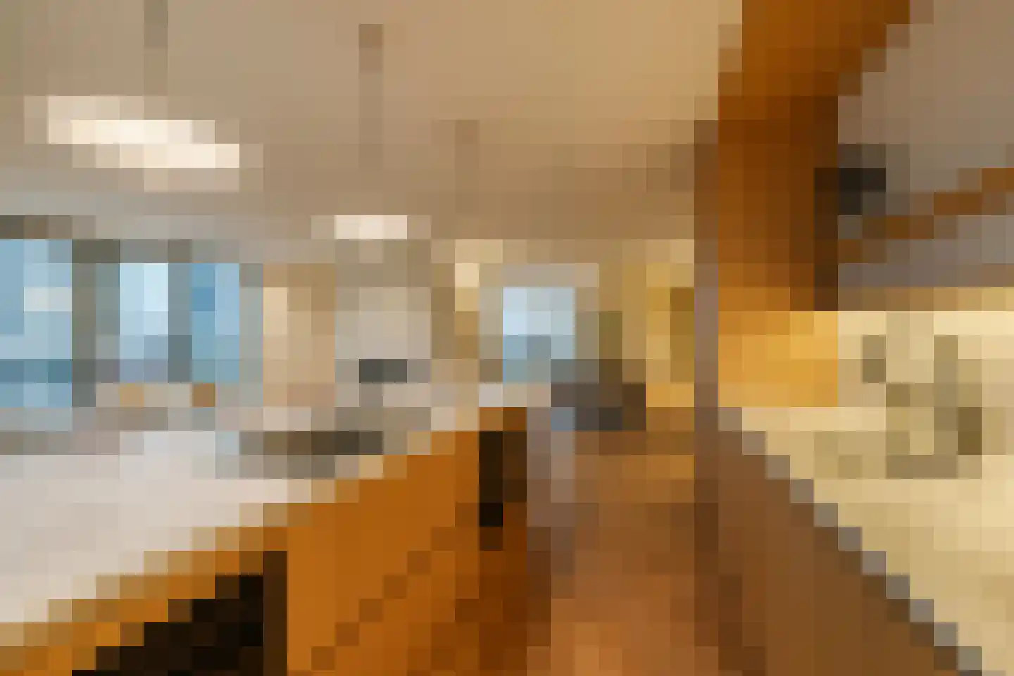 Spadinalaan 699 Amsterdam thumbnail 16