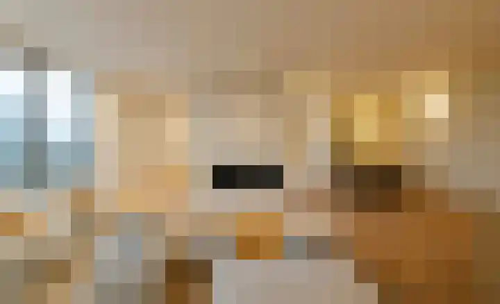 Spadinalaan 699 Amsterdam thumbnail 17