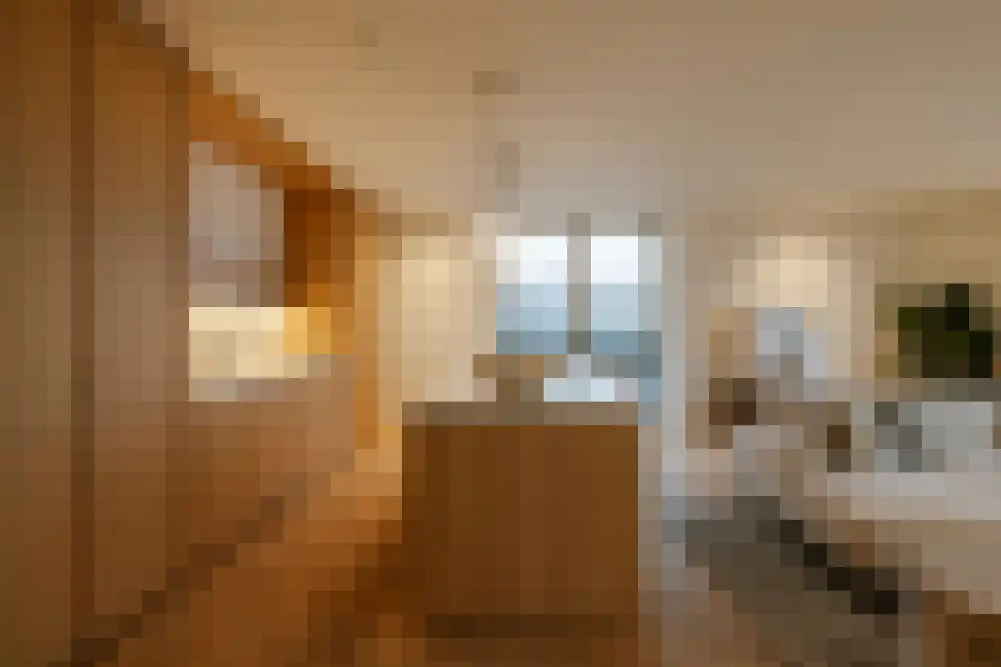 Spadinalaan 699 Amsterdam thumbnail 17