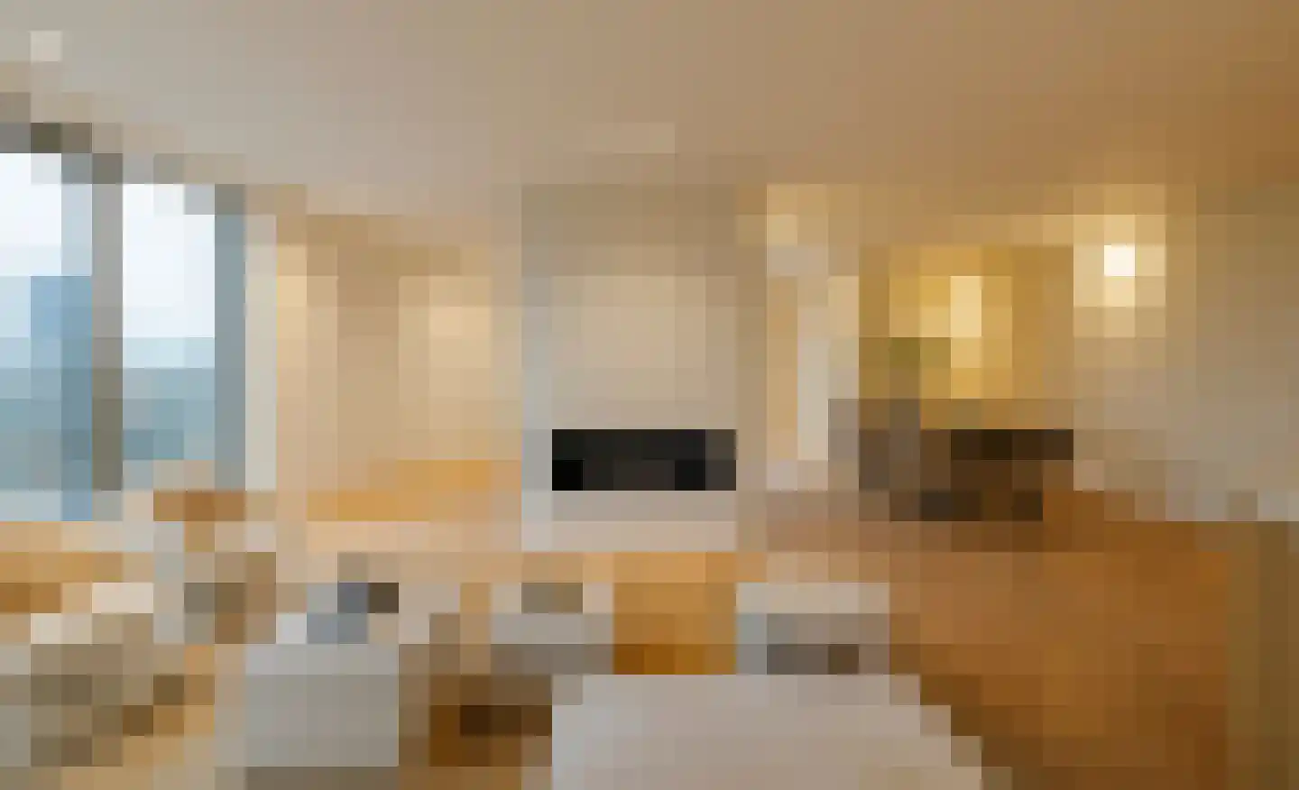 Spadinalaan 699 Amsterdam thumbnail 19