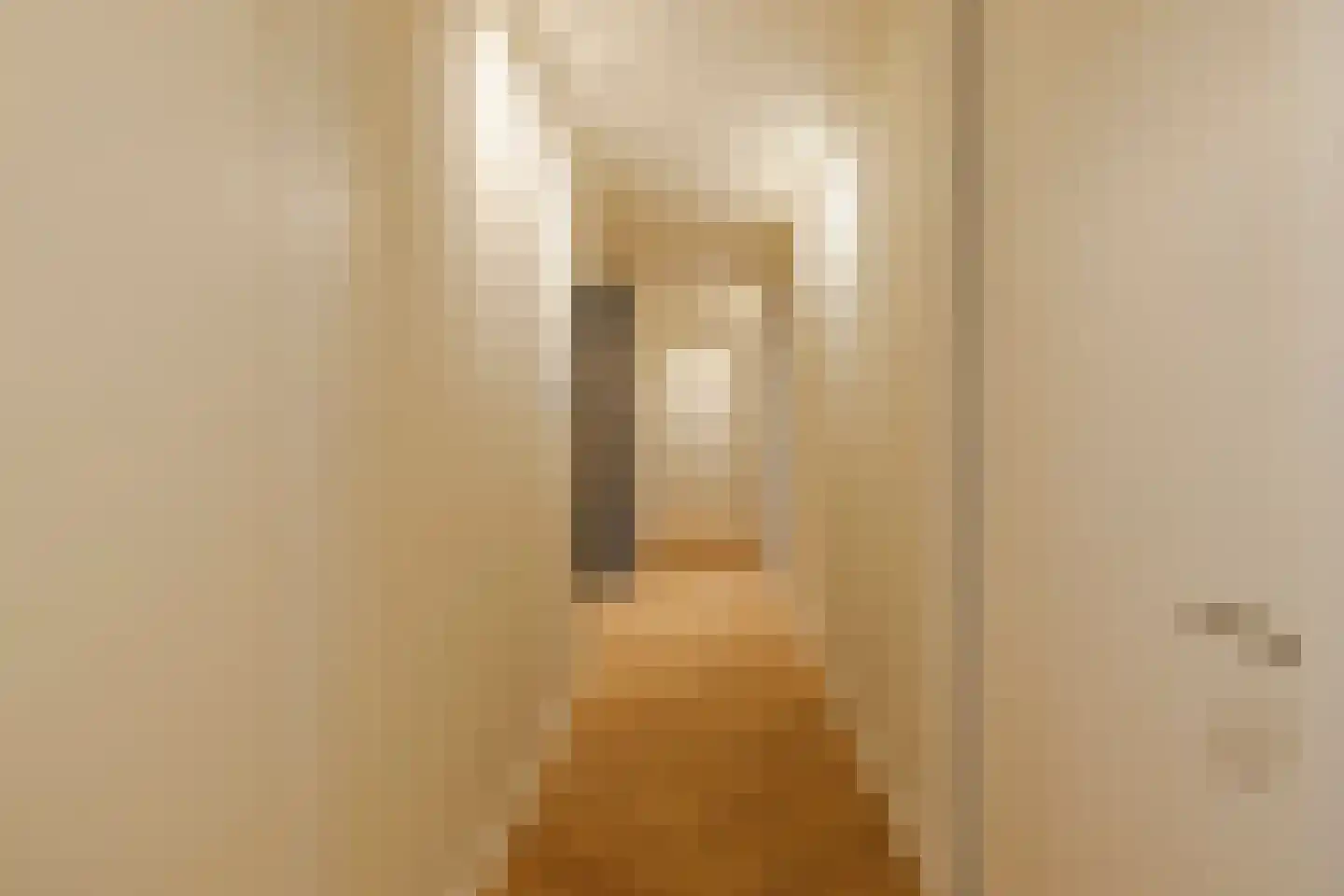 Spadinalaan 699 Amsterdam thumbnail 23