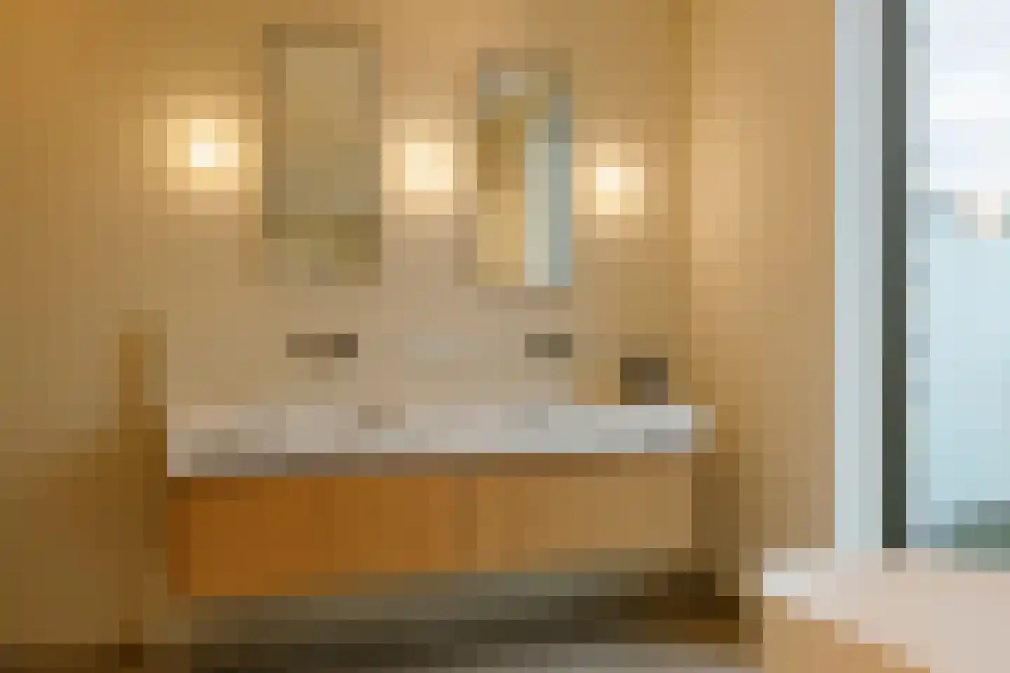 Spadinalaan 699 Amsterdam thumbnail 30