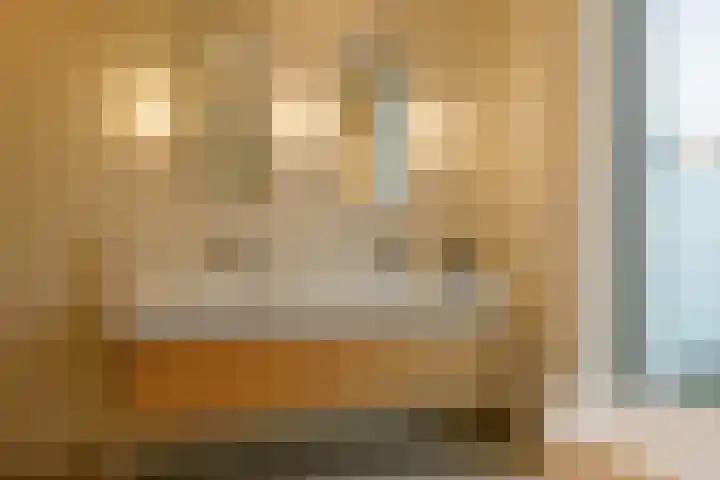 Spadinalaan 699 Amsterdam thumbnail 30