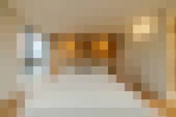 Spadinalaan 699 Amsterdam thumbnail 33
