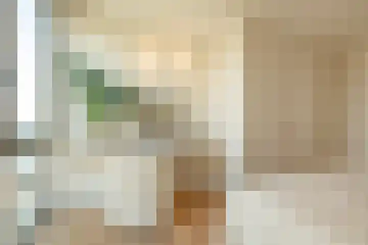 Spadinalaan 699 Amsterdam thumbnail 37