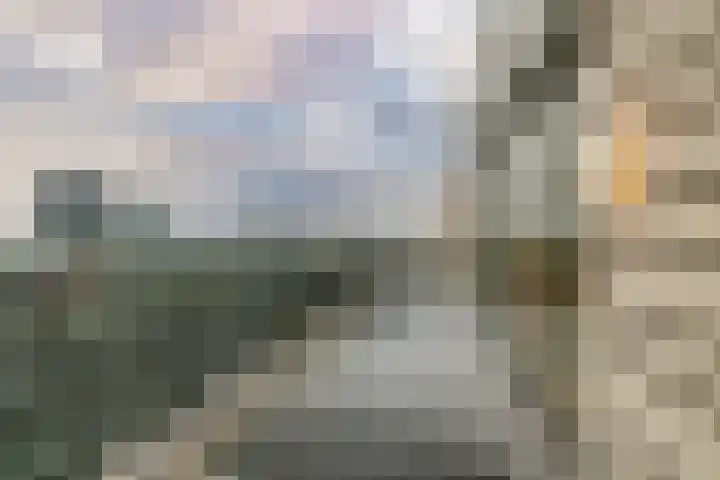 Spadinalaan 699 Amsterdam thumbnail 45