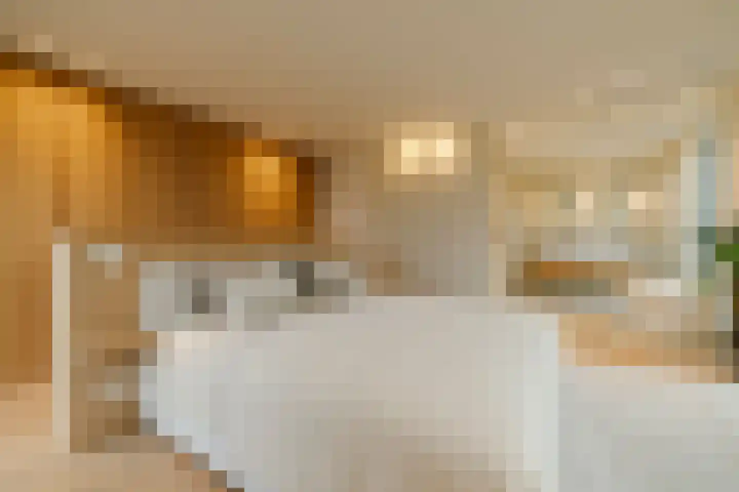 Spadinalaan 699 Amsterdam thumbnail 5