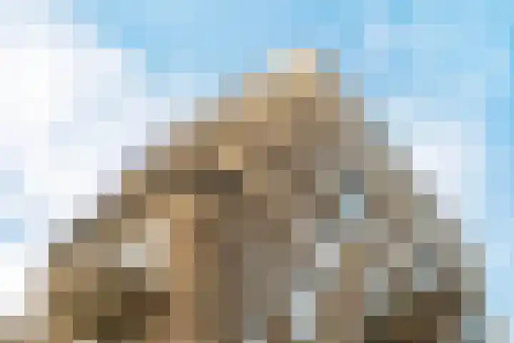 Spadinalaan 699 Amsterdam thumbnail 5