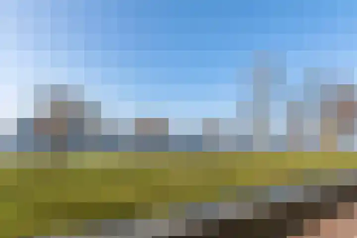 Spadinalaan 699 Amsterdam thumbnail 50