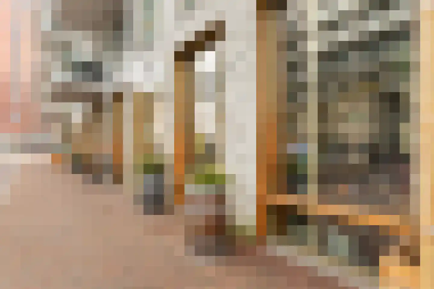 Spadinalaan 699 Amsterdam thumbnail 52