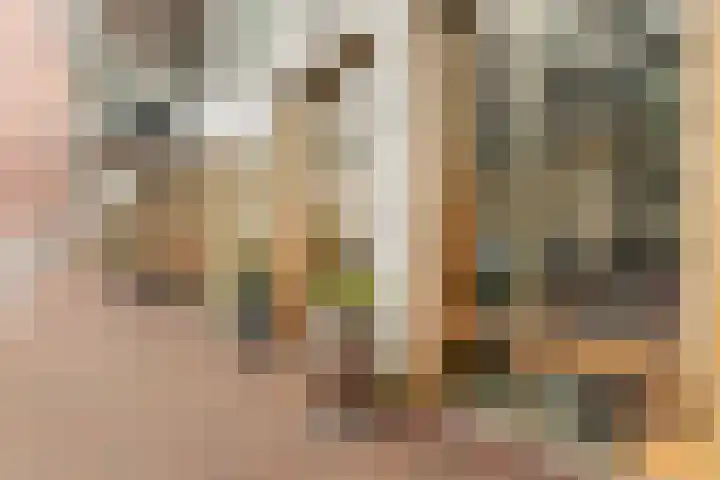 Spadinalaan 699 Amsterdam thumbnail 53