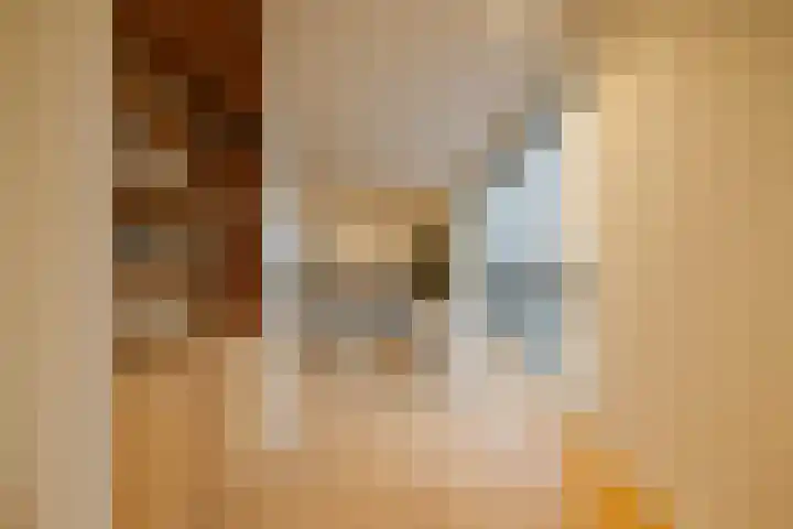 Spadinalaan 699 Amsterdam thumbnail 8
