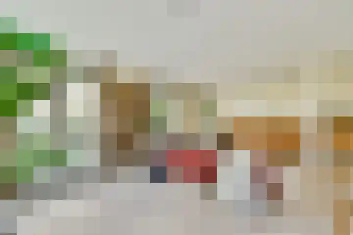 Spadinalaan 81 Amsterdam thumbnail 12
