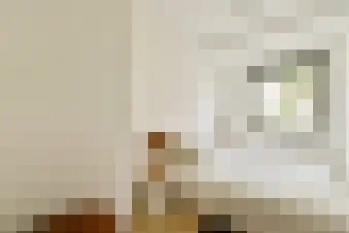 Spadinalaan 81 Amsterdam thumbnail 17