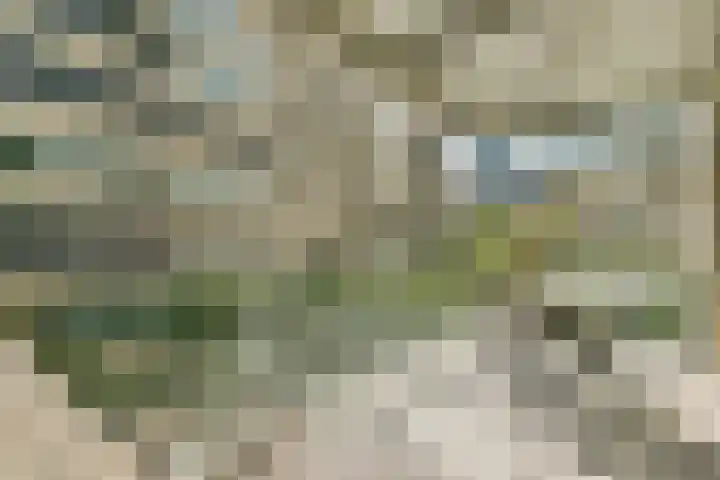 Spadinalaan 81 Amsterdam thumbnail 32