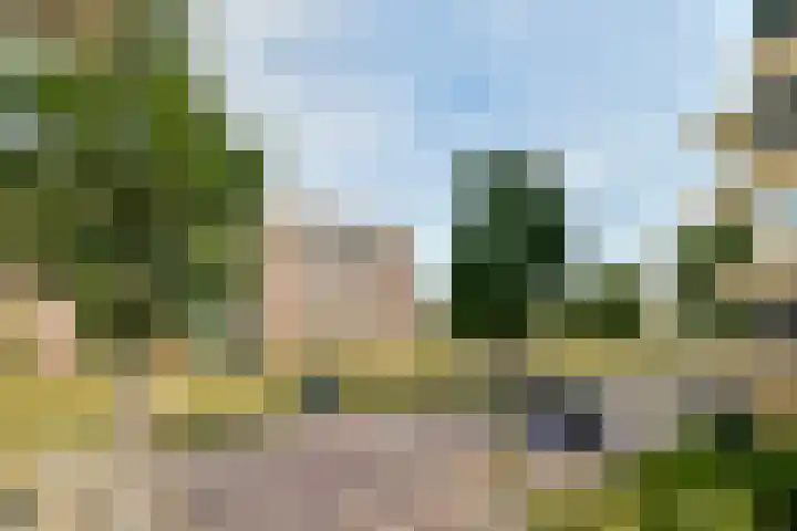 Spadinalaan 81 Amsterdam thumbnail 34