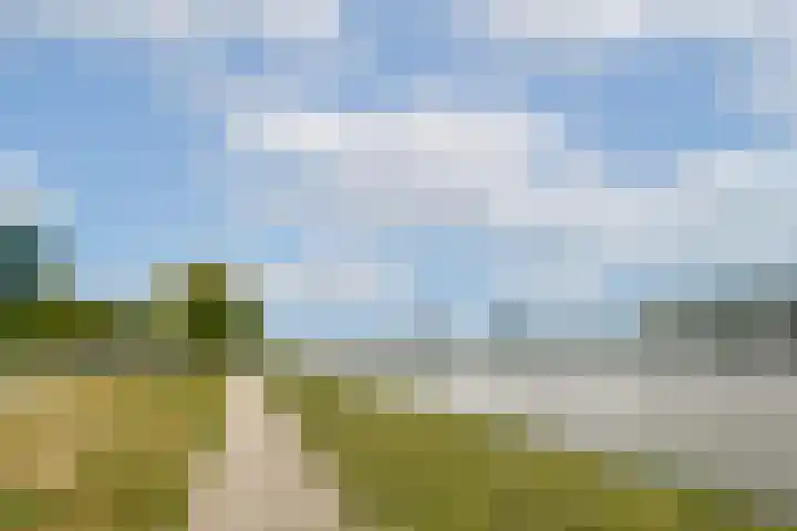 Spadinalaan 81 Amsterdam thumbnail 37