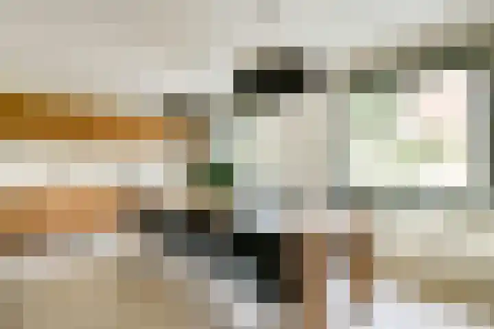 Spadinalaan 81 Amsterdam thumbnail 9