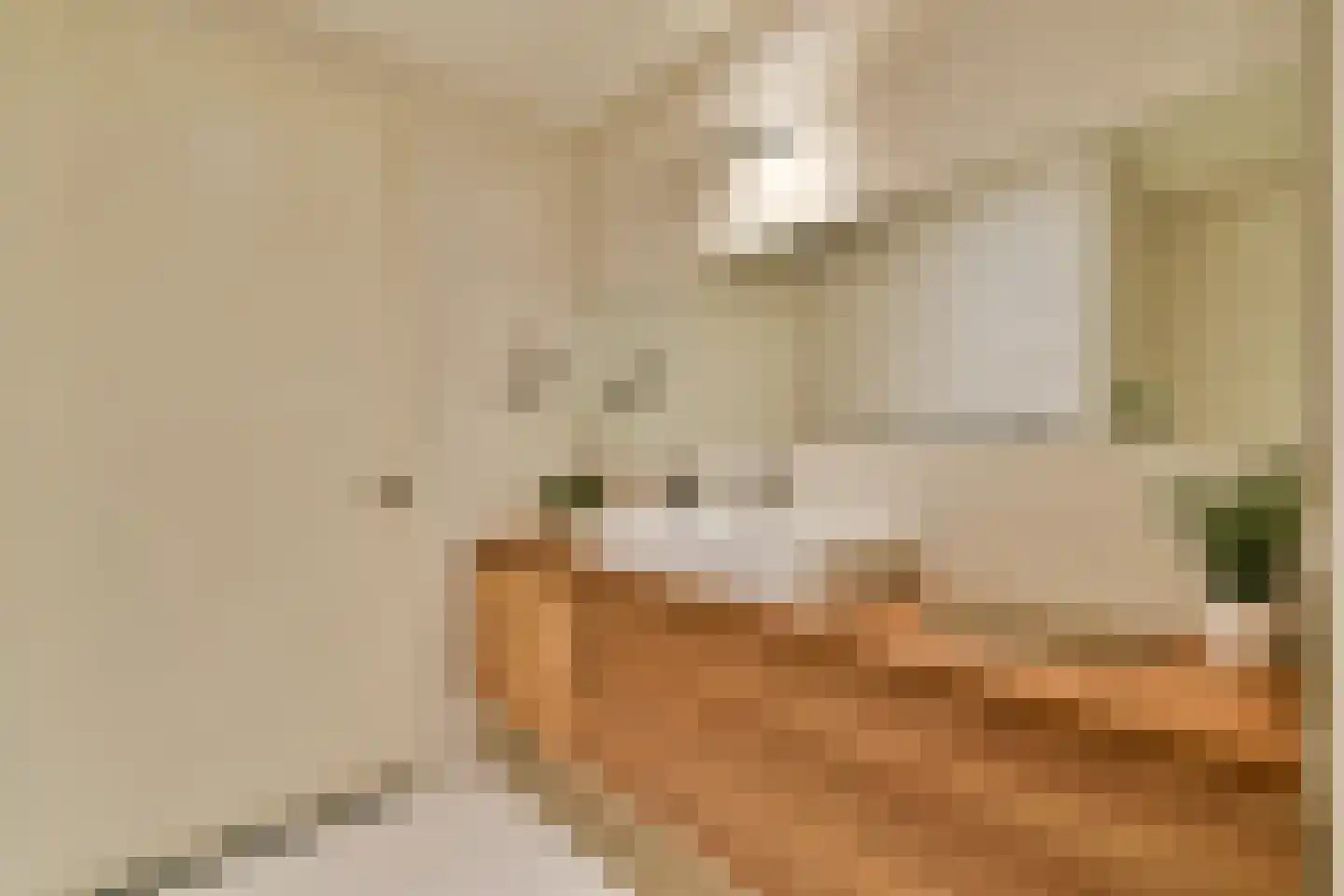 Spadinalaan 87 Amsterdam thumbnail 15