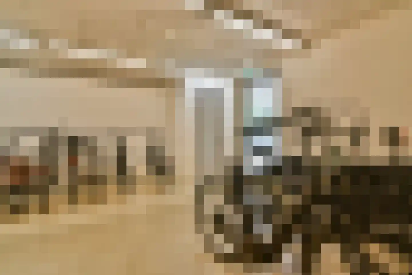 Spadinalaan 87 Amsterdam thumbnail 24