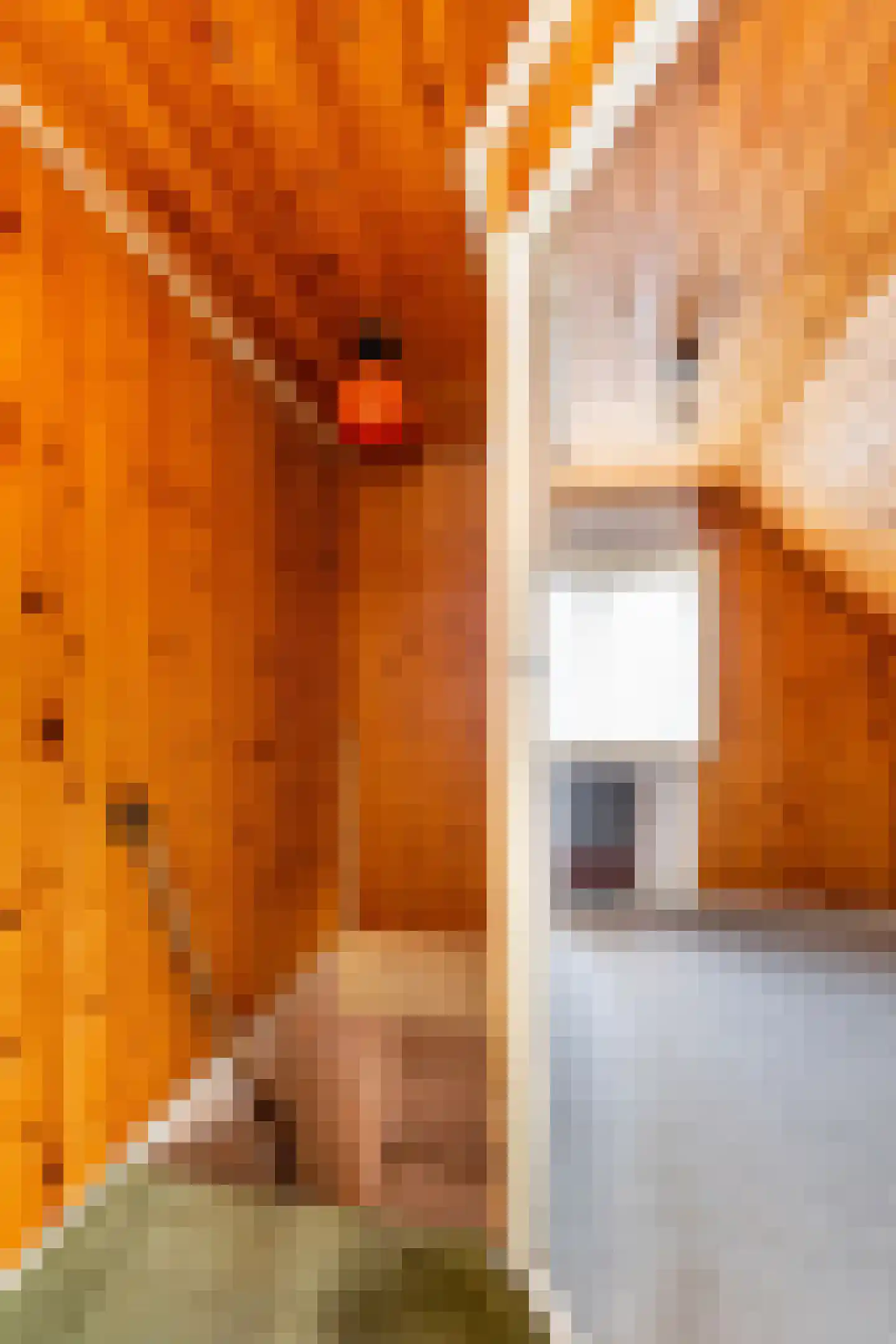 Spaerbroekweg 10 Doornspijk thumbnail 17