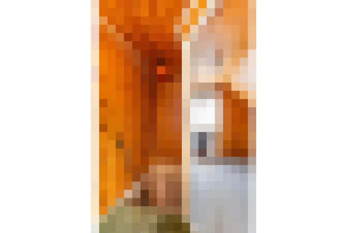 Spaerbroekweg 10 Doornspijk thumbnail 18