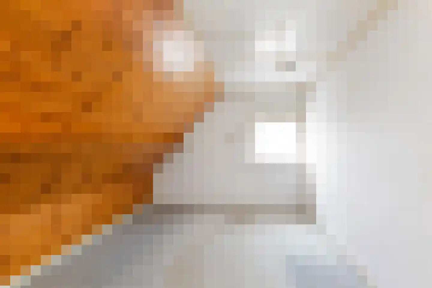 Spaerbroekweg 10 Doornspijk thumbnail 21