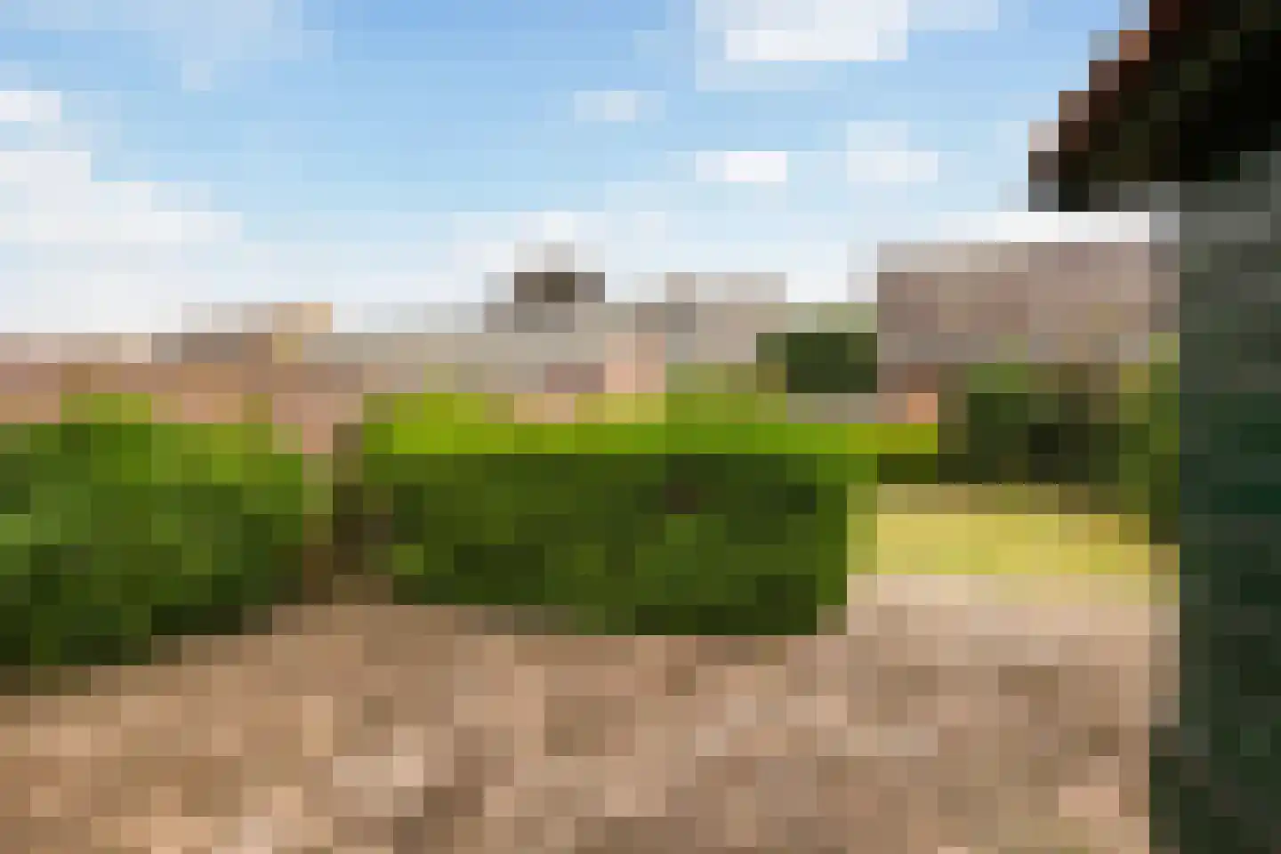 Spaerbroekweg 10 Doornspijk thumbnail 24