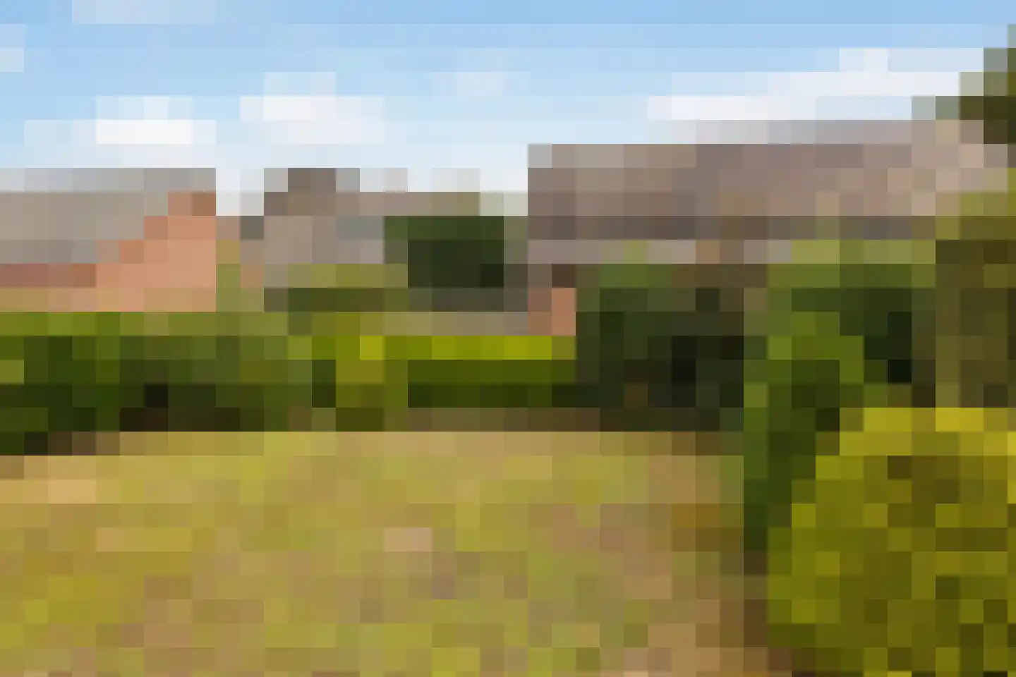 Spaerbroekweg 10 Doornspijk thumbnail 29