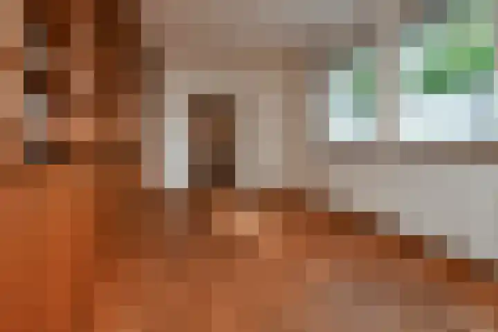 Spaerwoude 8 Pijnacker thumbnail 14