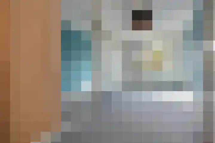 Spaerwoude 8 Pijnacker thumbnail 16