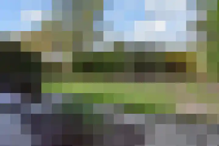 Spaerwoude 8 Pijnacker foto 2