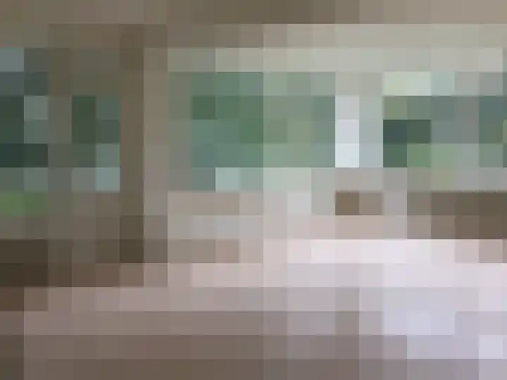 Spaerwoude 8 Pijnacker thumbnail 20