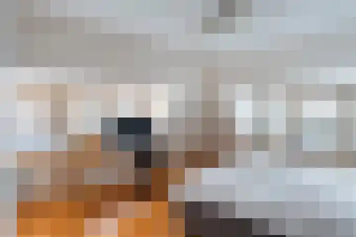 Spaerwoude 8 Pijnacker thumbnail 22
