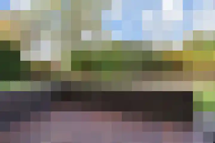 Spaerwoude 8 Pijnacker thumbnail 23