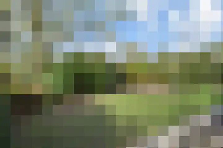 Spaerwoude 8 Pijnacker thumbnail 24