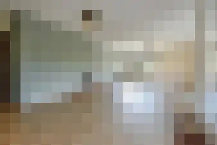Spaerwoude 8 Pijnacker thumbnail 27